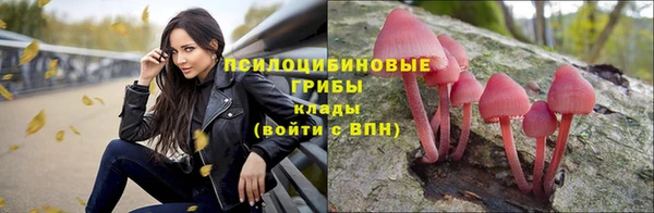прущие грибы Алексин