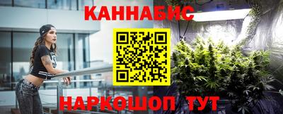 стаф Аргун
