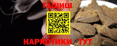 стаф Аргун