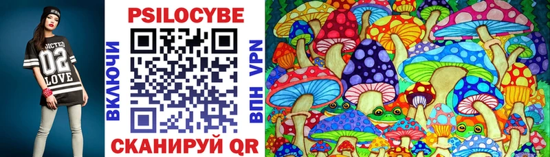 закладки  MEGA tor  Псилоцибиновые грибы Psilocybine cubensis  Владикавказ 