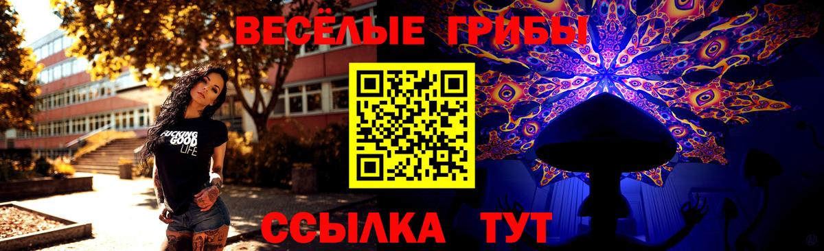 Галлюциногенные грибы Psilocybine cubensis Владикавказ
