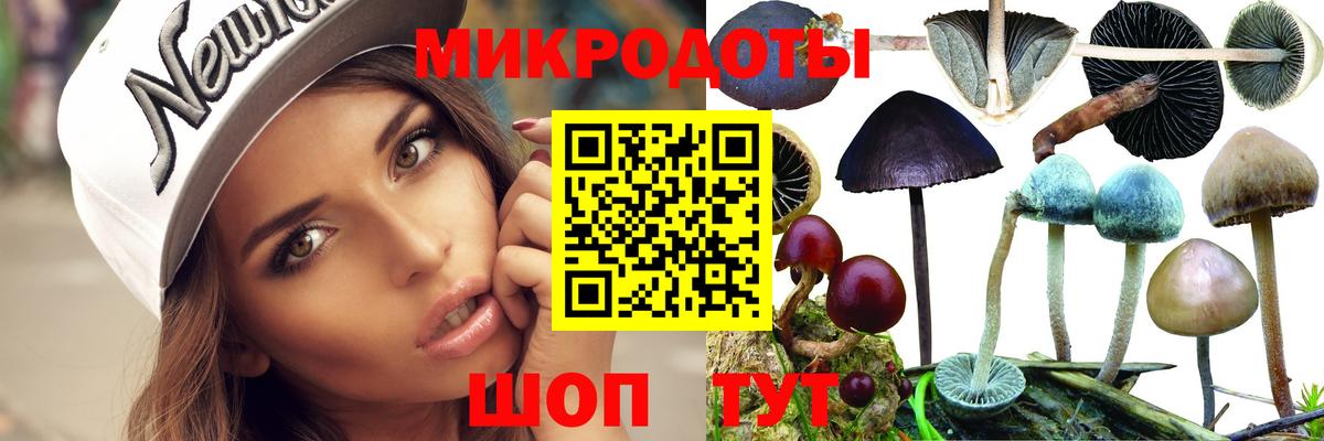 Галлюциногенные грибы ЛСД  Галлюциногенные грибы Cubensis  Вход с VPN  Владикавказ 